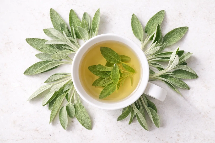 A flat image of a cup of sage tea surrounded by sage leaves to be used as a natural remedy for hyperhidrosis.